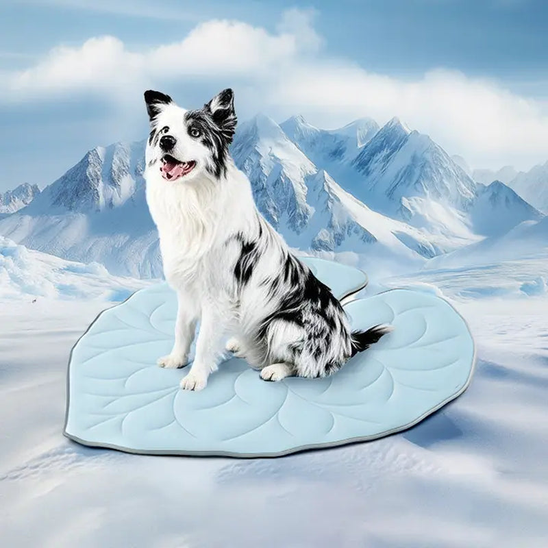 Vagascape Outdoorfun Cooling Pet Mat, Eco-Friendly Gel-Free Cooling Pad for Large Dogs, #Pettok Viral Must-Have Summer Dog Essentials, Portable & Machine Washable Durable Mat for Crate Trunk Camping Travel Outdoorfun Outdoorfun